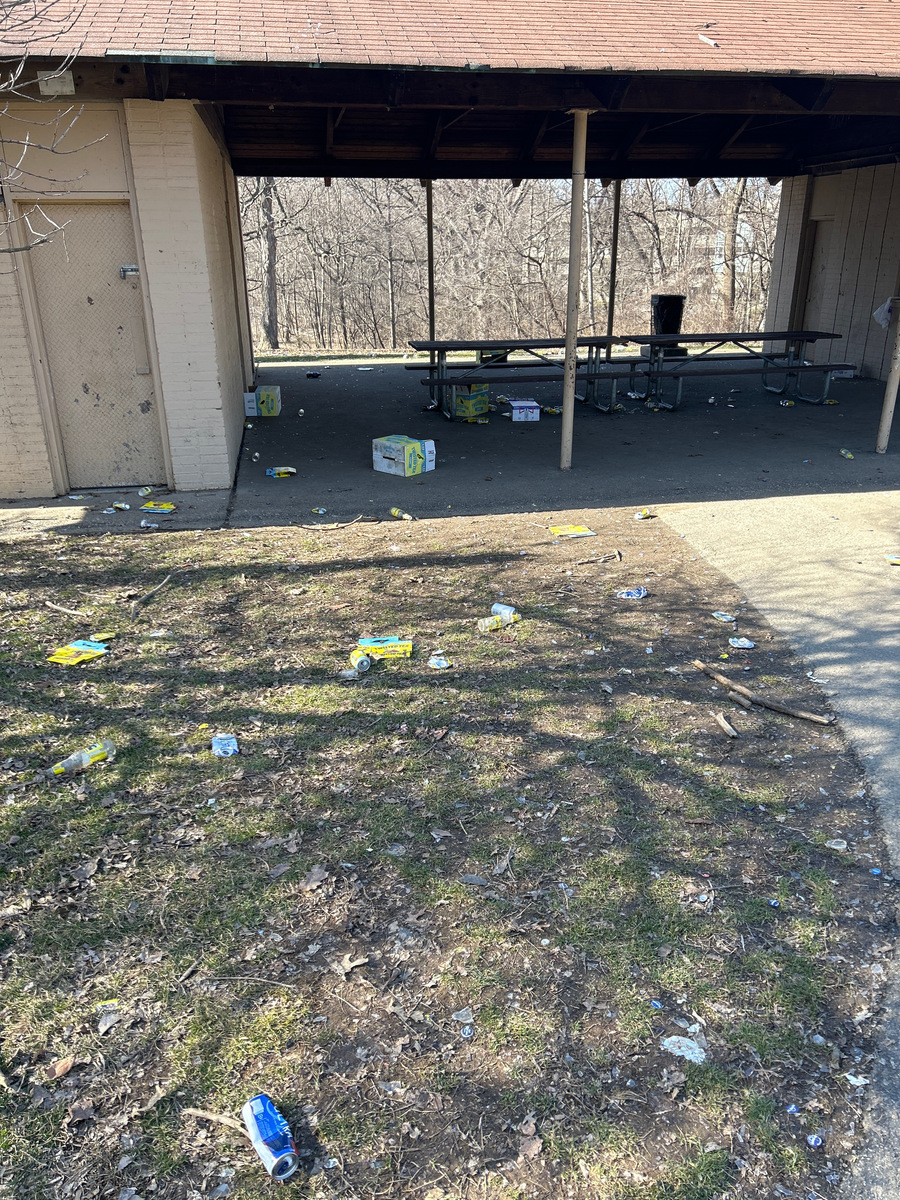 Photographic documentation of the work as submitted to the city's 311 record.