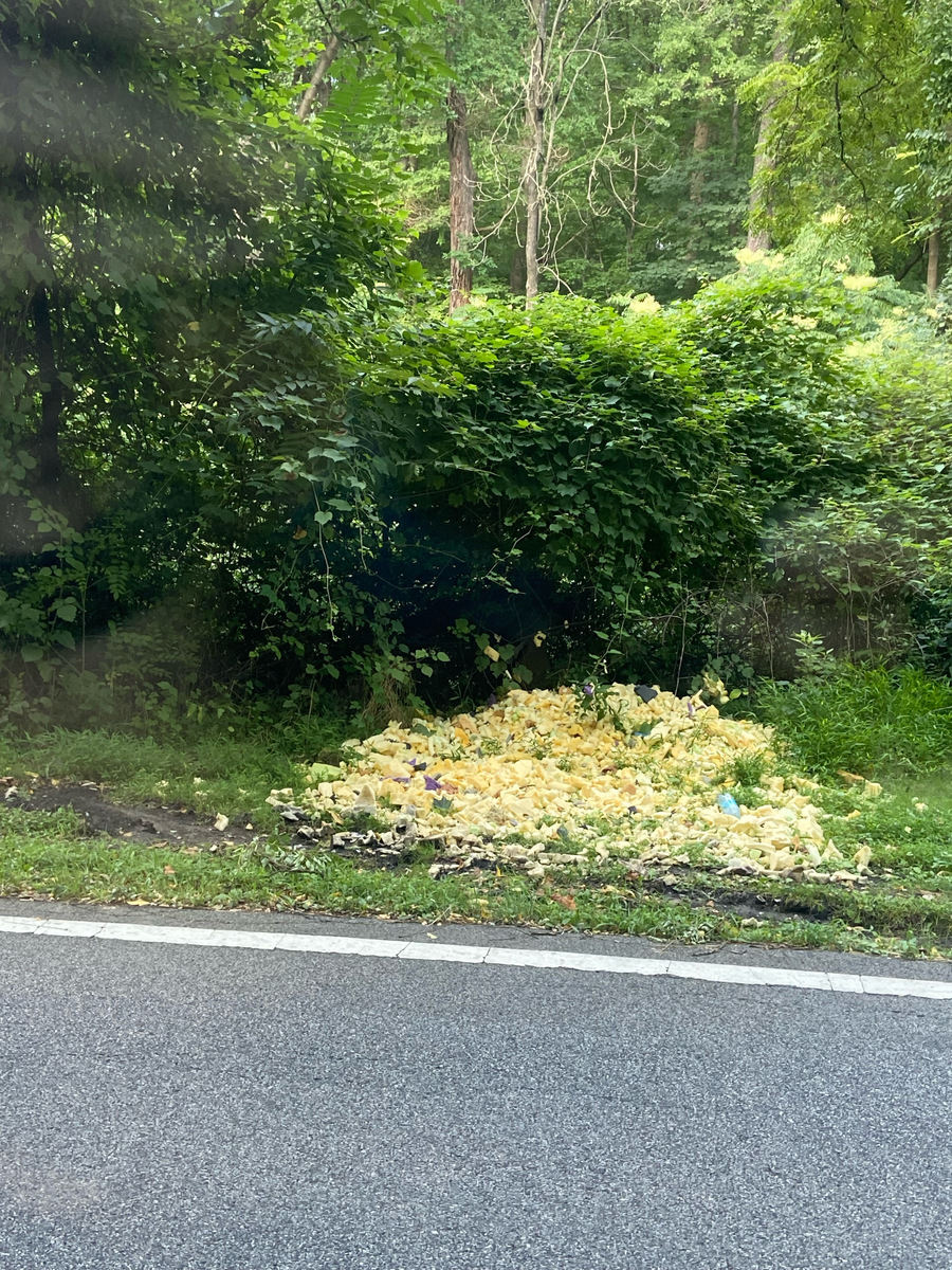 Photographic documentation of the work as submitted to the city's 311 record.