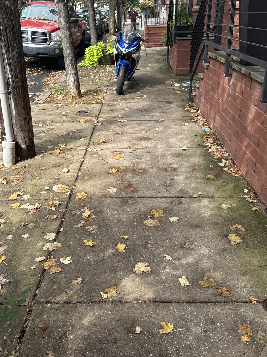 Photographic documentation of the work as submitted to the city's 311 record.