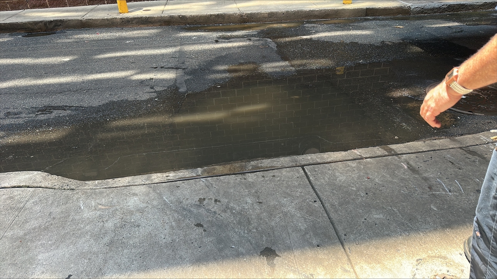 Photographic documentation of the work as submitted to the city's 311 record.