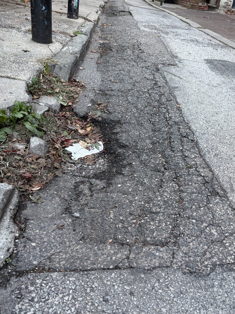 Photographic documentation of the work as submitted to the city's 311 record.