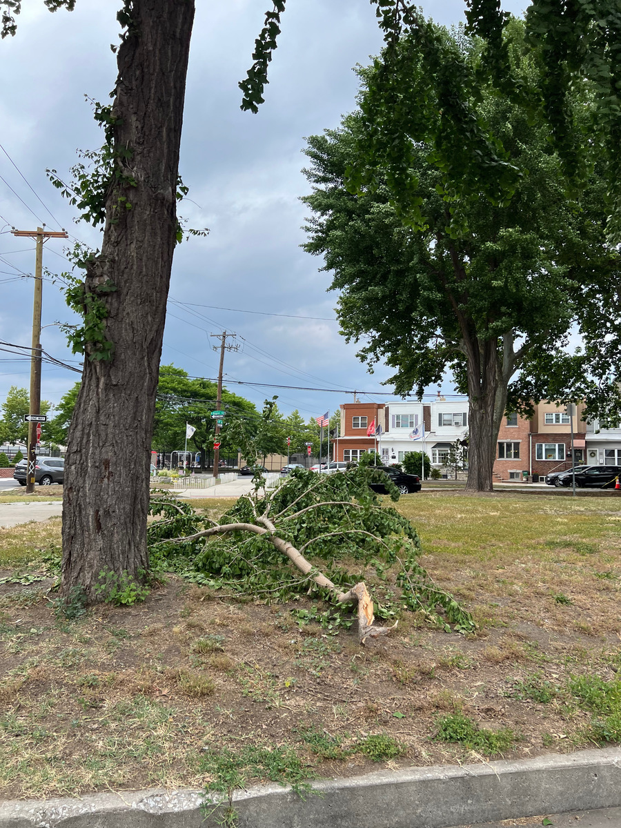 Photographic documentation of the work as submitted to the city's 311 record.