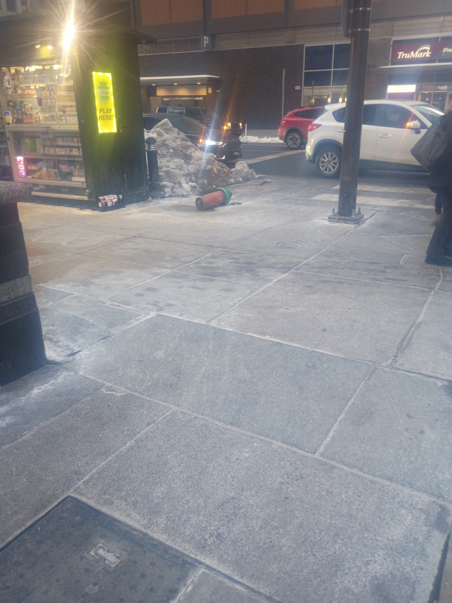 Photographic documentation of the work as submitted to the city's 311 record.