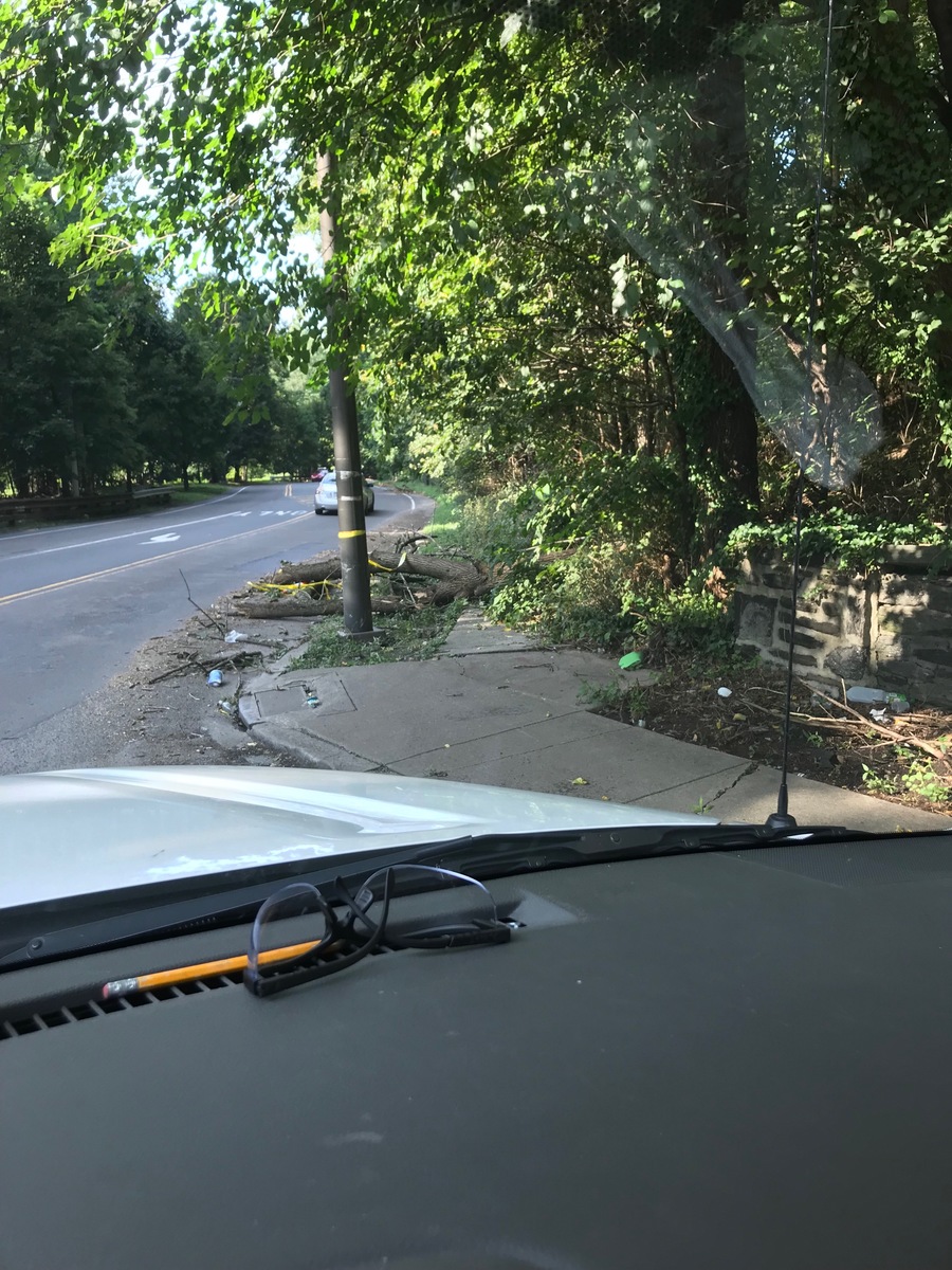 Photographic documentation of the work as submitted to the city's 311 record.