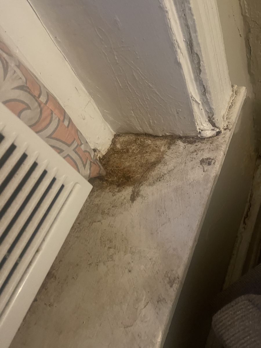 Photographic documentation of the work as submitted to the city's 311 record.