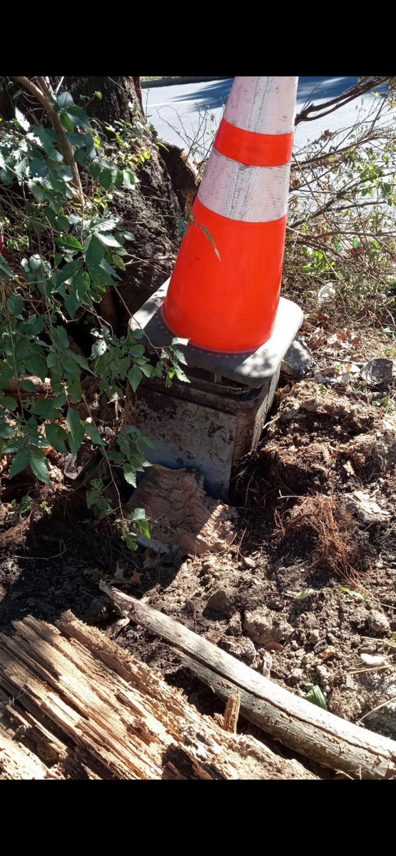 Photographic documentation of the work as submitted to the city's 311 record.
