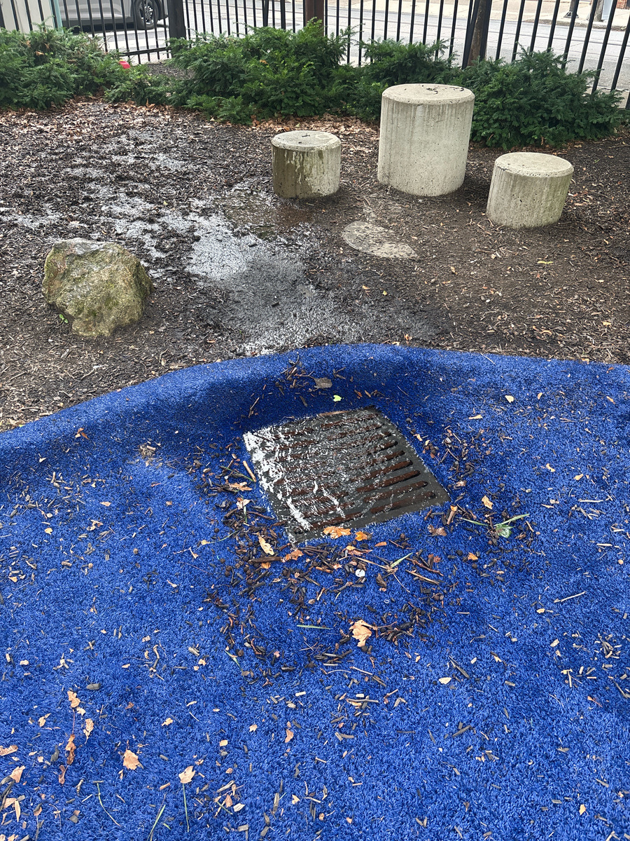 Photographic documentation of the work as submitted to the city's 311 record.