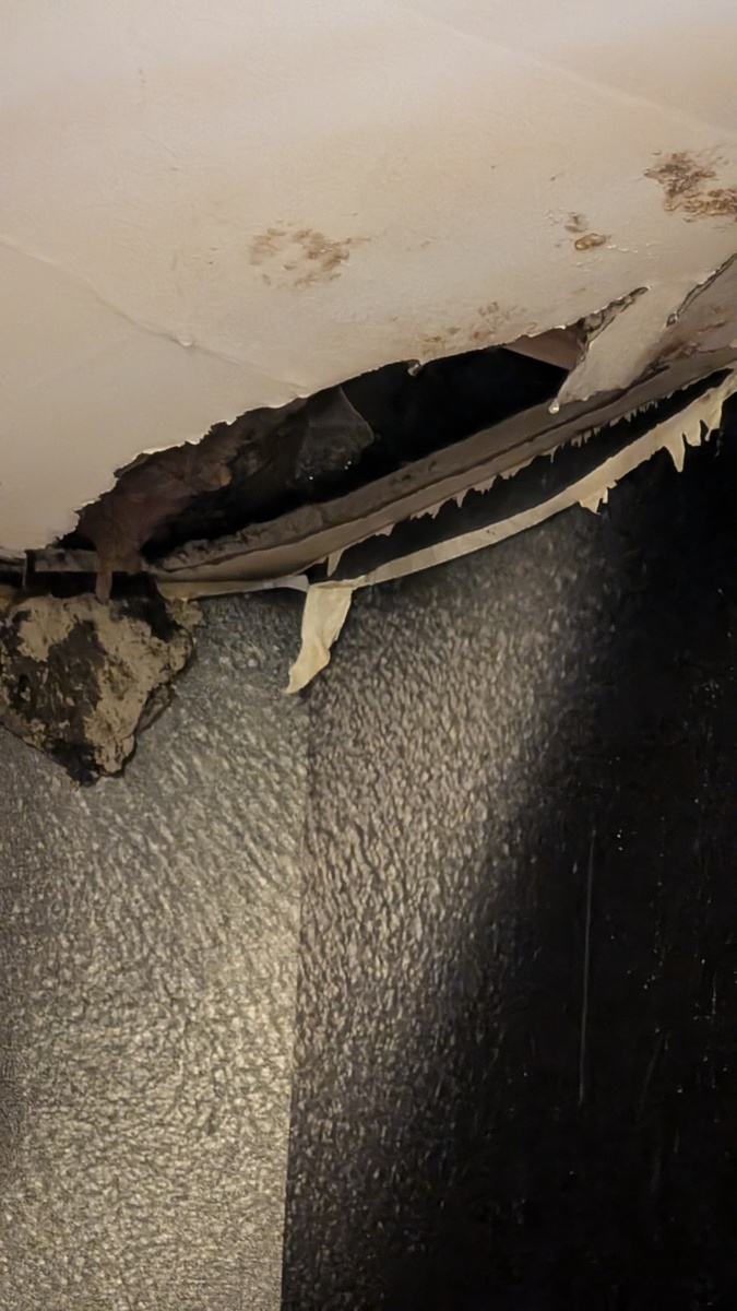 Photographic documentation of the work as submitted to the city's 311 record.