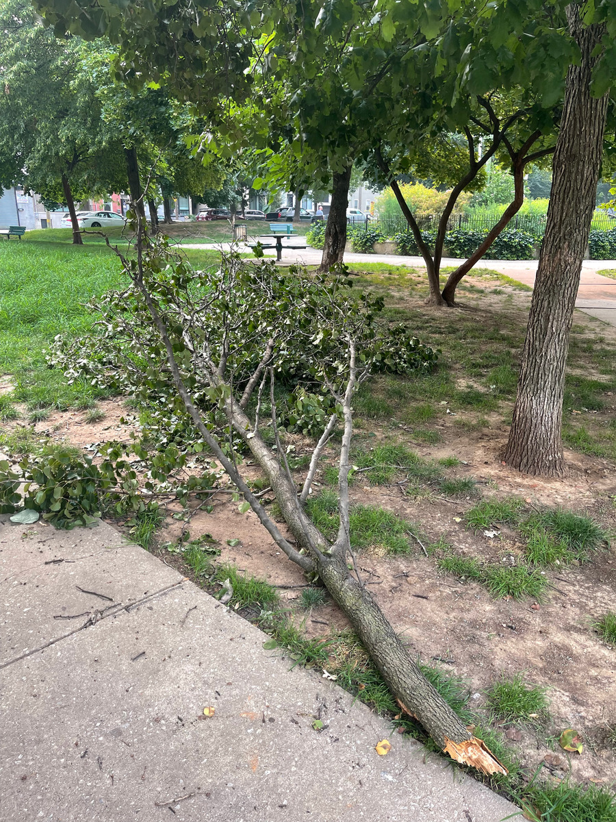 Photographic documentation of the work as submitted to the city's 311 record.