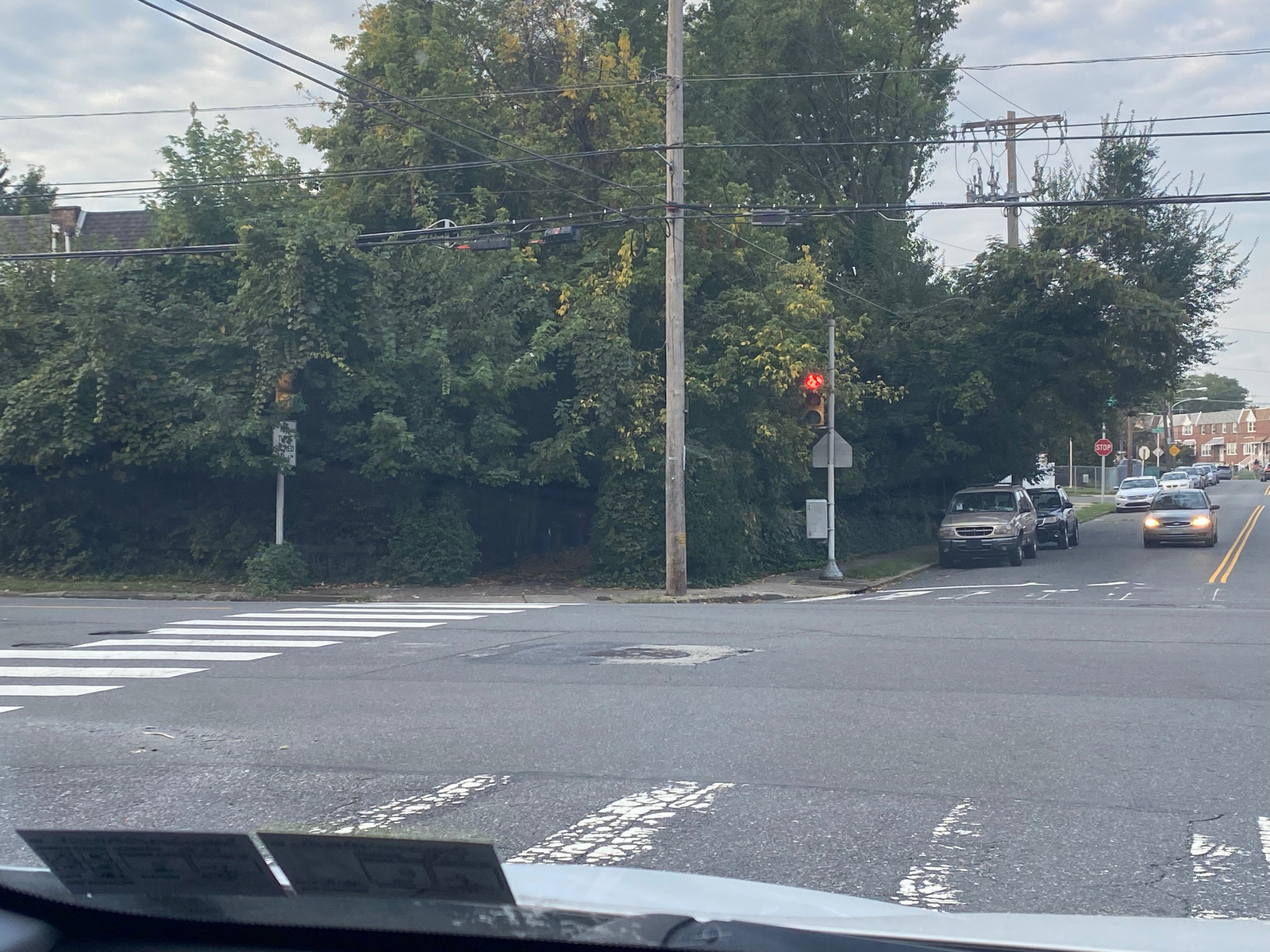 Photographic documentation of the work as submitted to the city's 311 record.