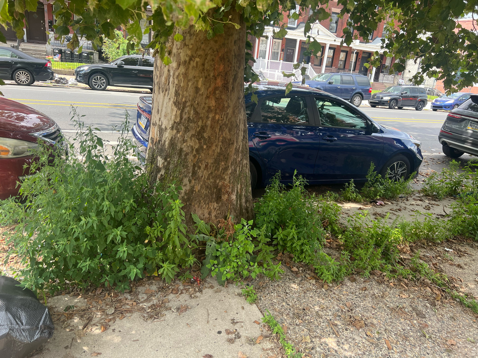 Photographic documentation of the work as submitted to the city's 311 record.