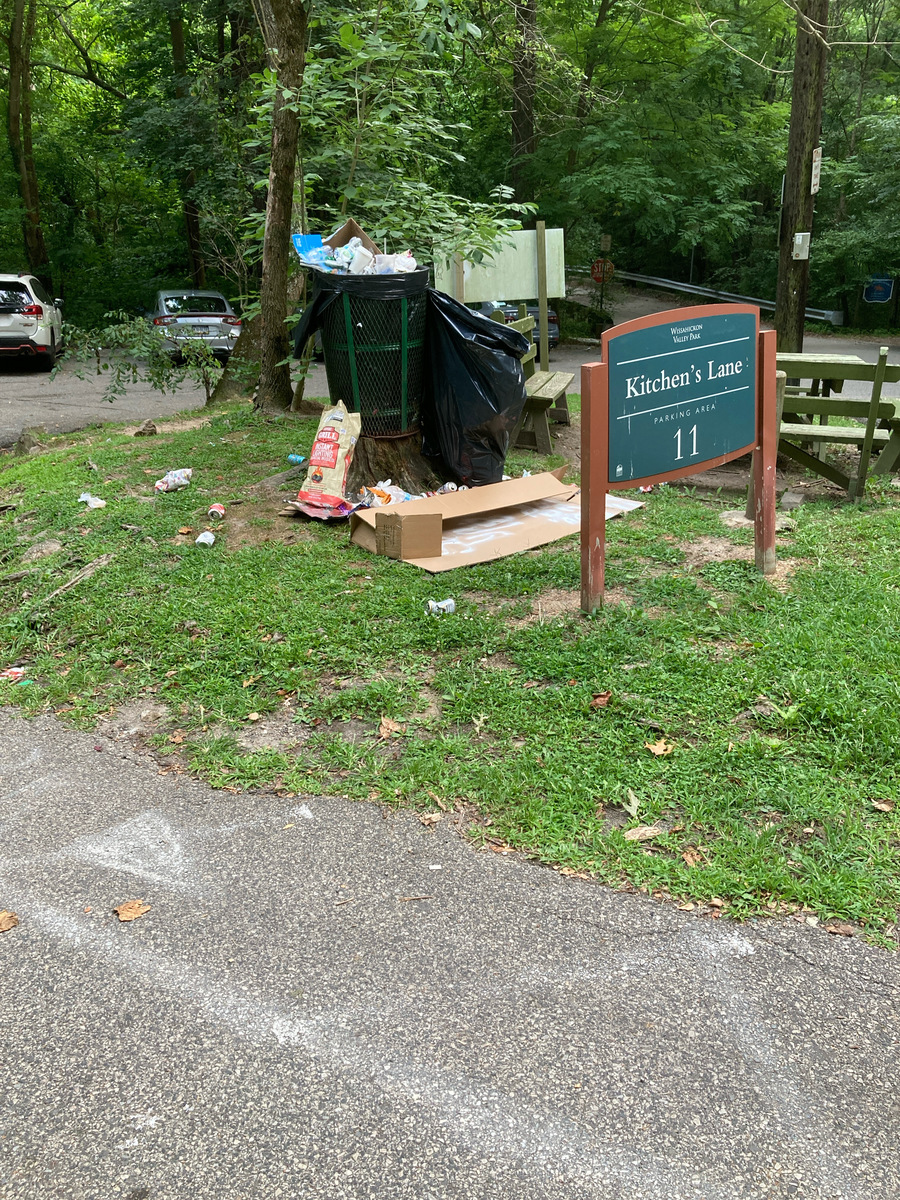 Photographic documentation of the work as submitted to the city's 311 record.