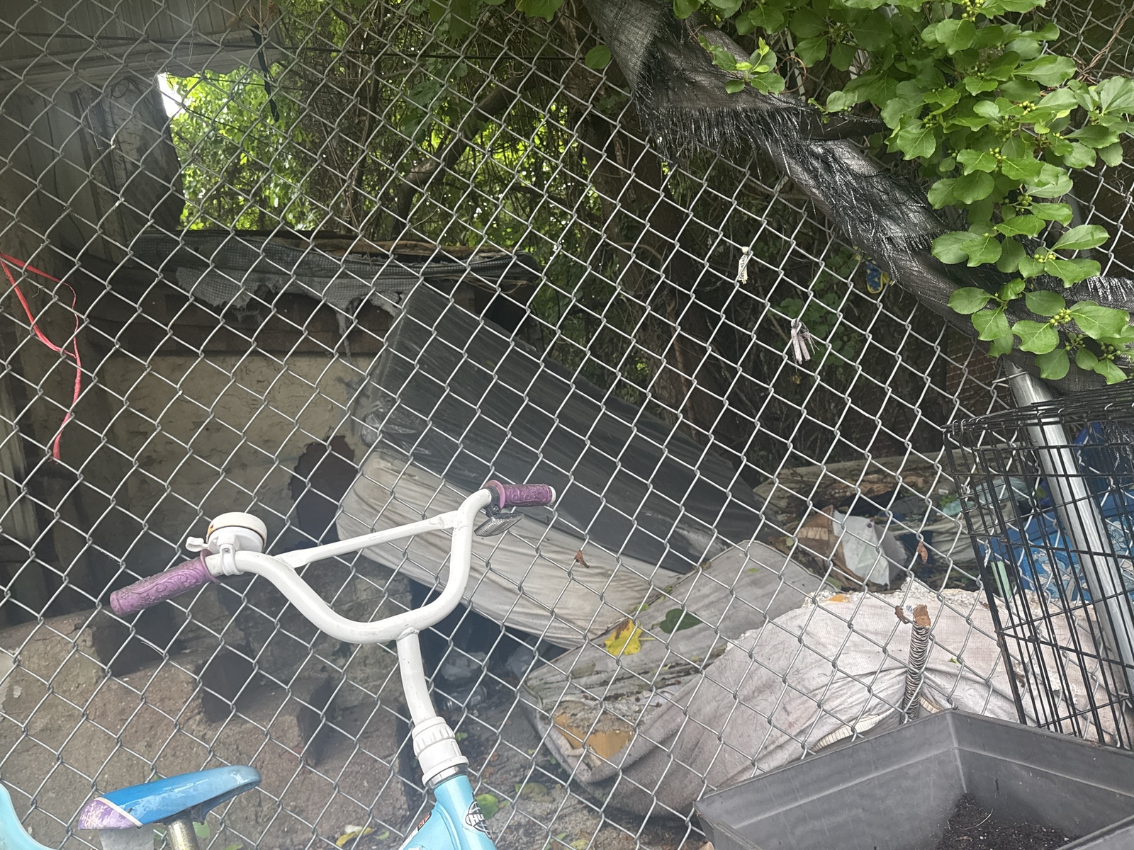Photographic documentation of the work as submitted to the city's 311 record.
