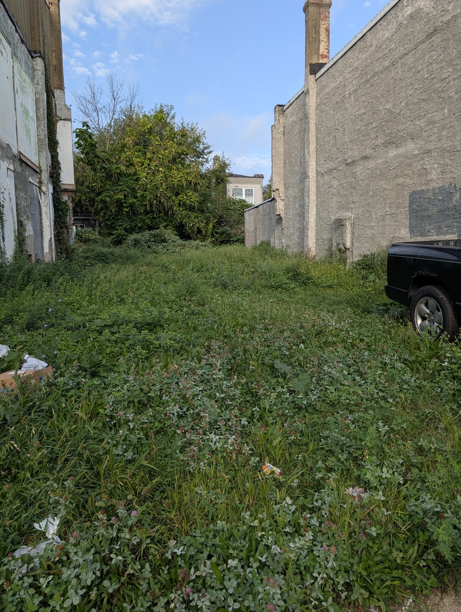 Photographic documentation of the work as submitted to the city's 311 record.
