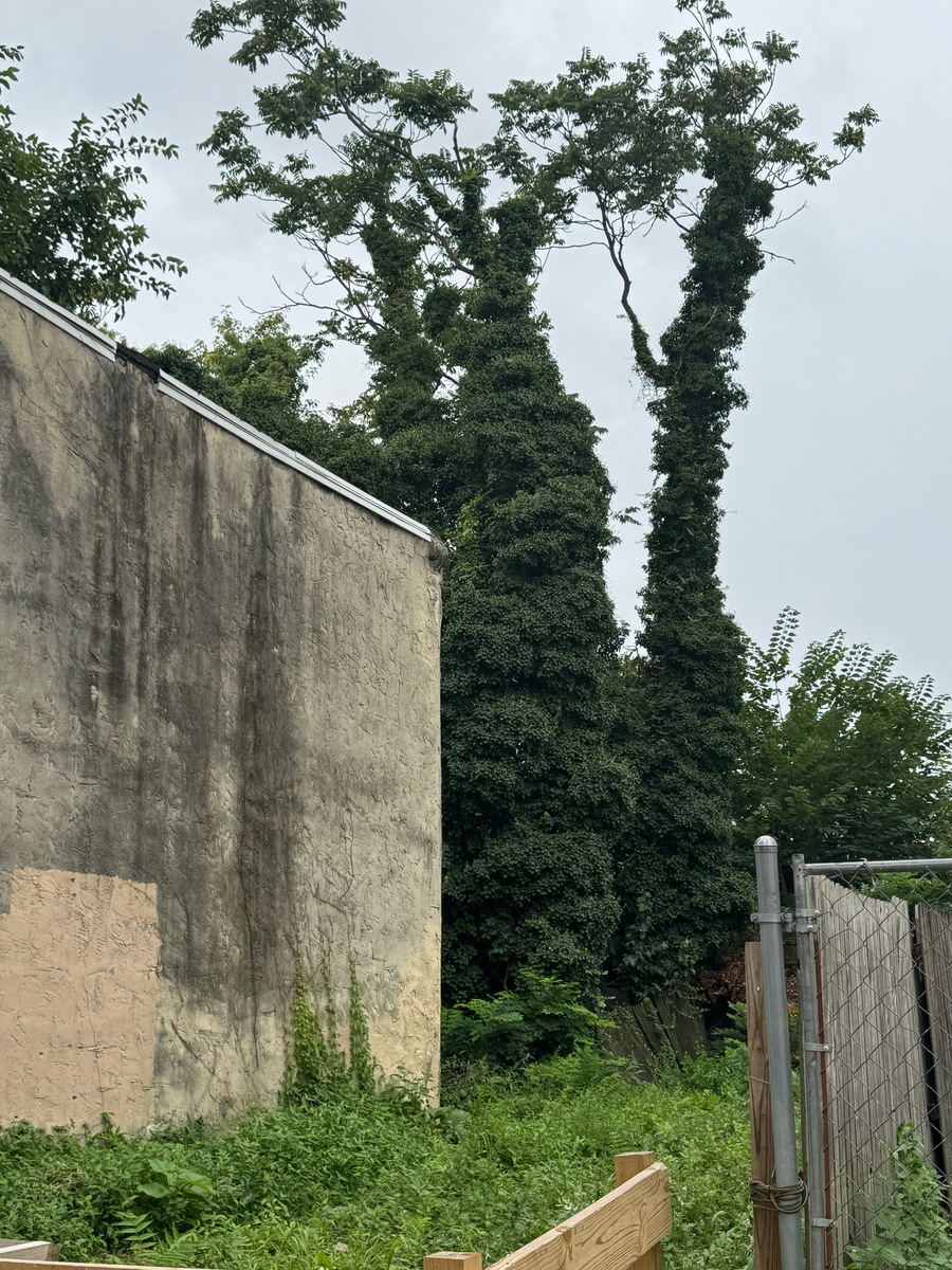 Photographic documentation of the work as submitted to the city's 311 record.