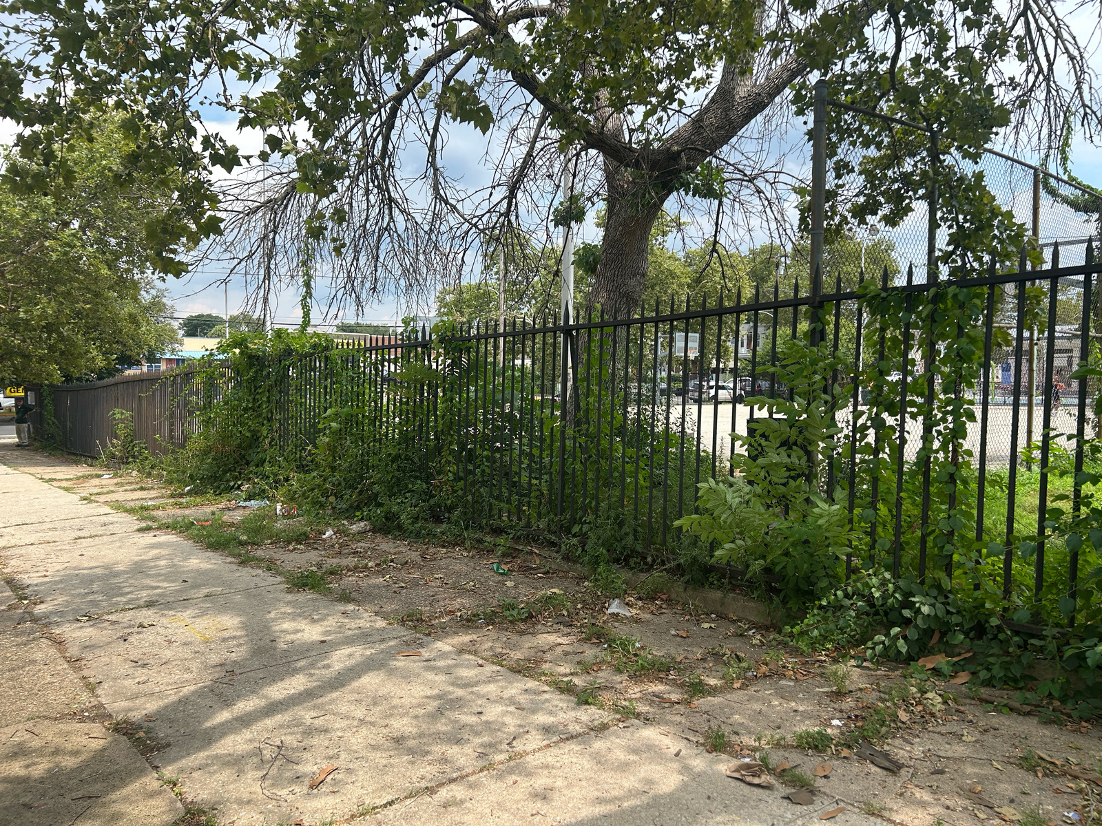 Photographic documentation of the work as submitted to the city's 311 record.