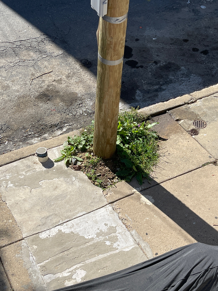 Photographic documentation of the work as submitted to the city's 311 record.