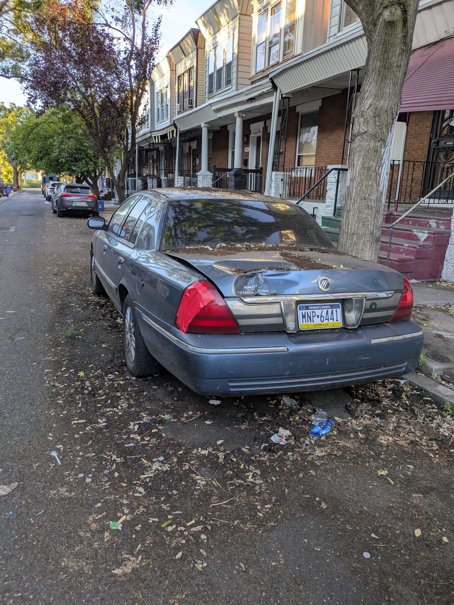 Photographic documentation of the work as submitted to the city's 311 record.