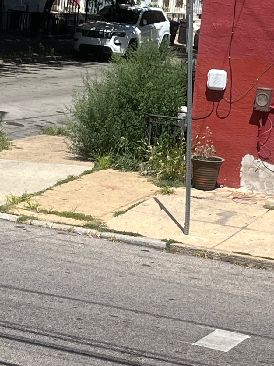 Photographic documentation of the work as submitted to the city's 311 record.