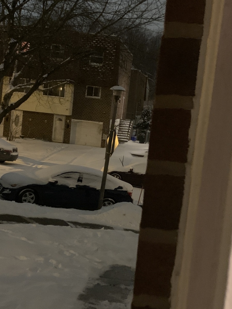 Photographic documentation of the work as submitted to the city's 311 record.