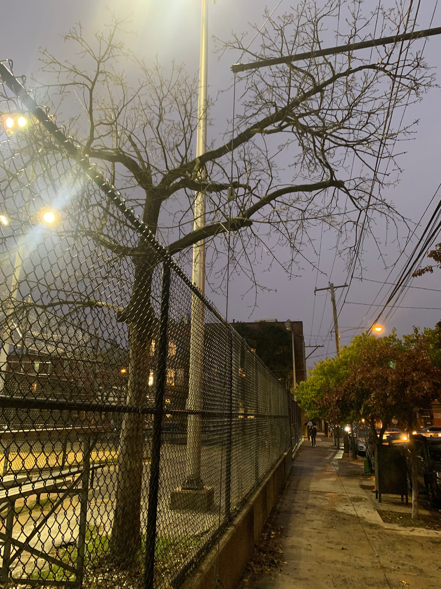 Photographic documentation of the work as submitted to the city's 311 record.