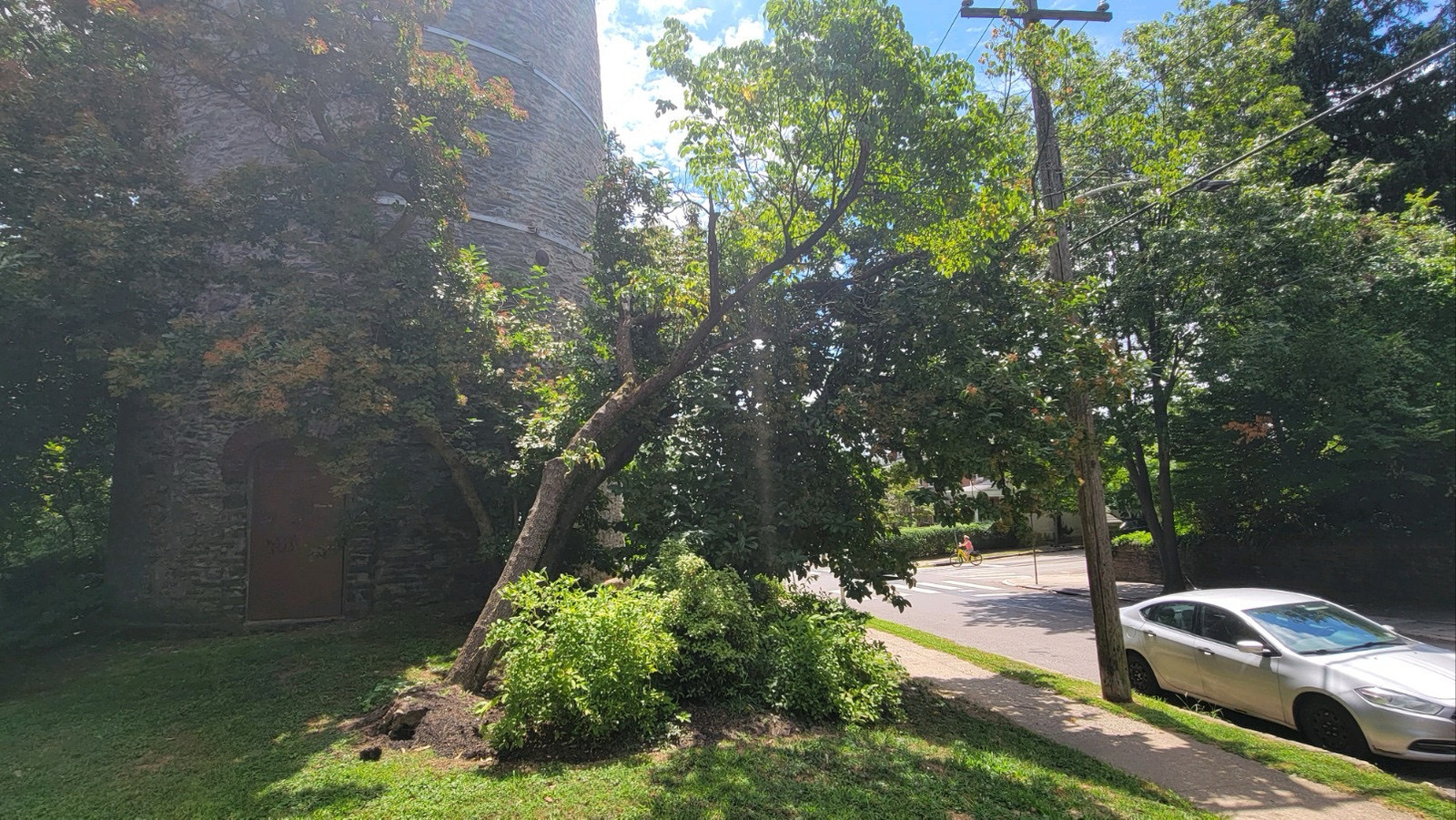 Photographic documentation of the work as submitted to the city's 311 record.
