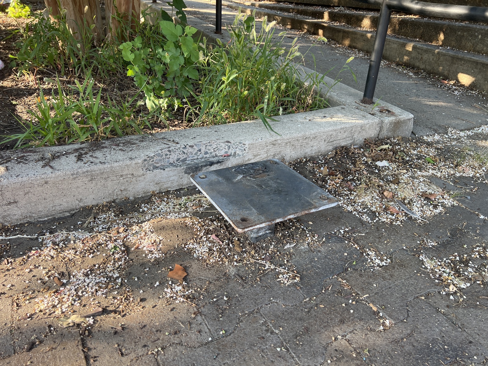 Photographic documentation of the work as submitted to the city's 311 record.