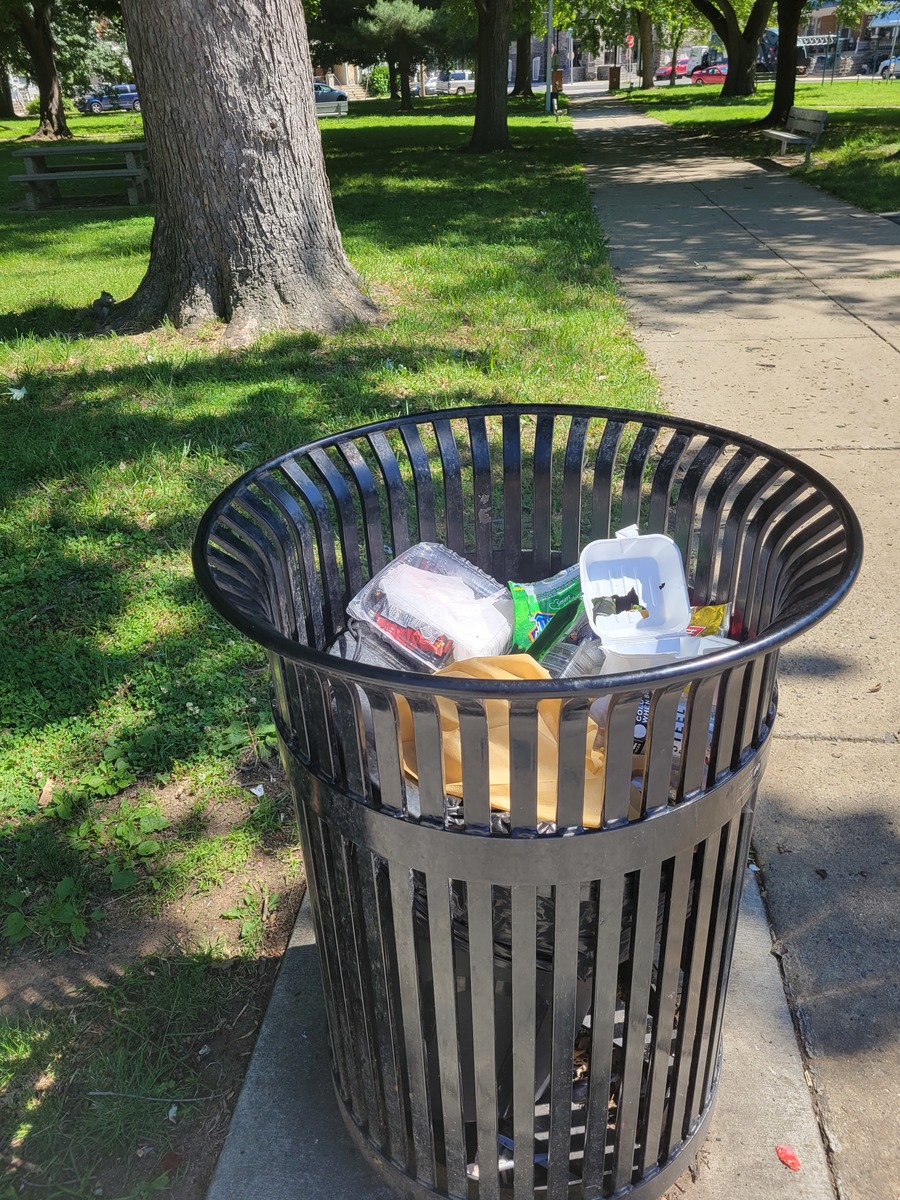 Photographic documentation of the work as submitted to the city's 311 record.