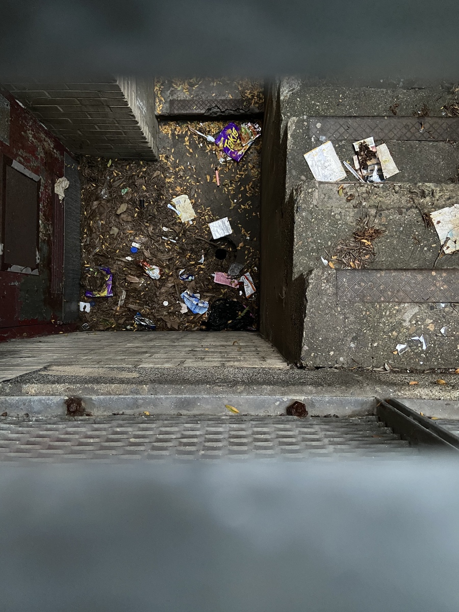 Photographic documentation of the work as submitted to the city's 311 record.