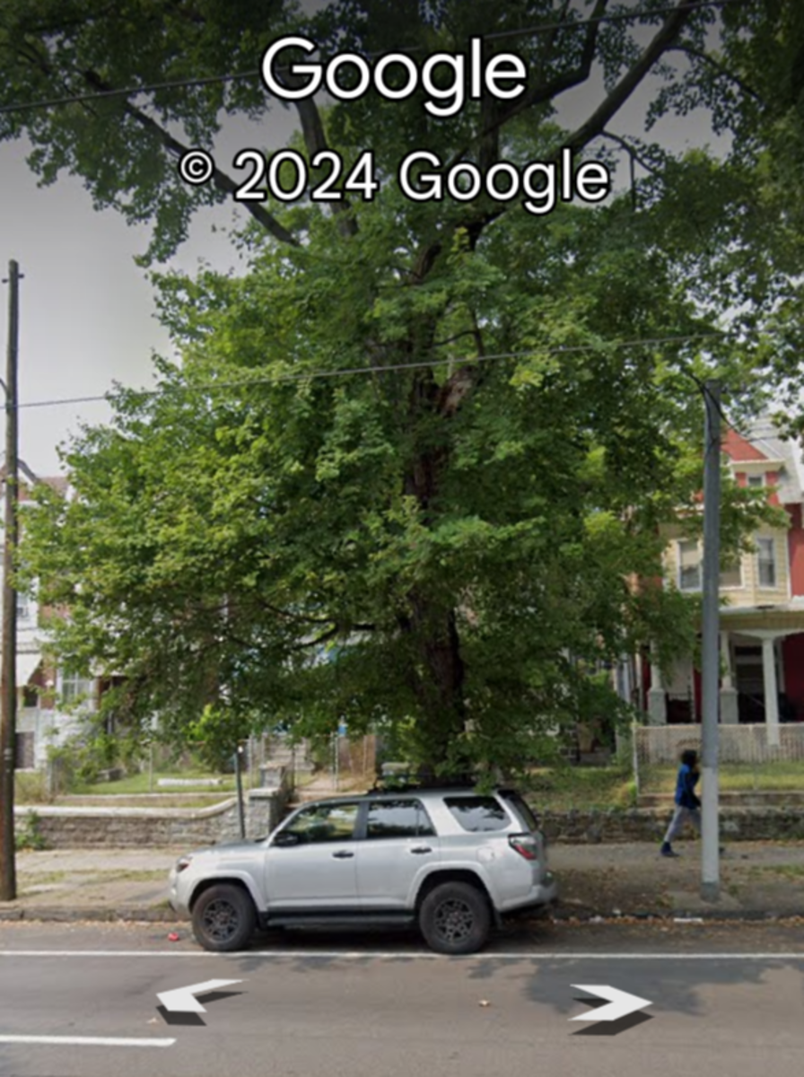 Photographic documentation of the work as submitted to the city's 311 record.