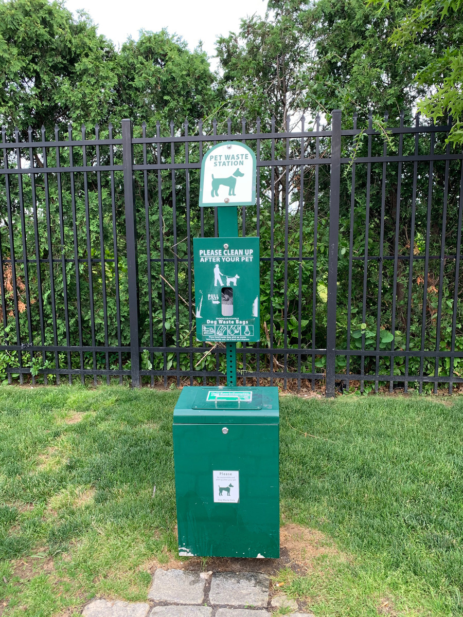 Photographic documentation of the work as submitted to the city's 311 record.
