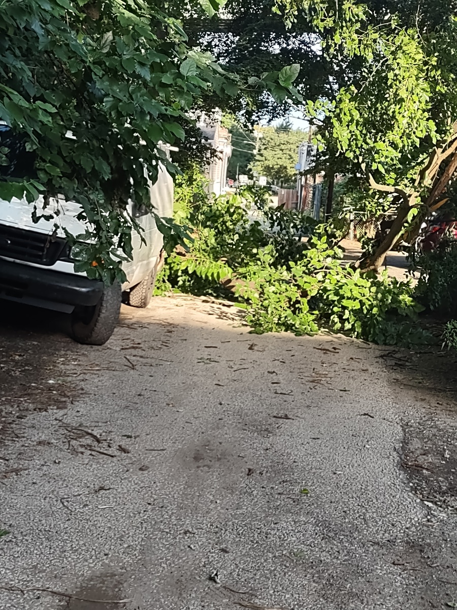 Photographic documentation of the work as submitted to the city's 311 record.