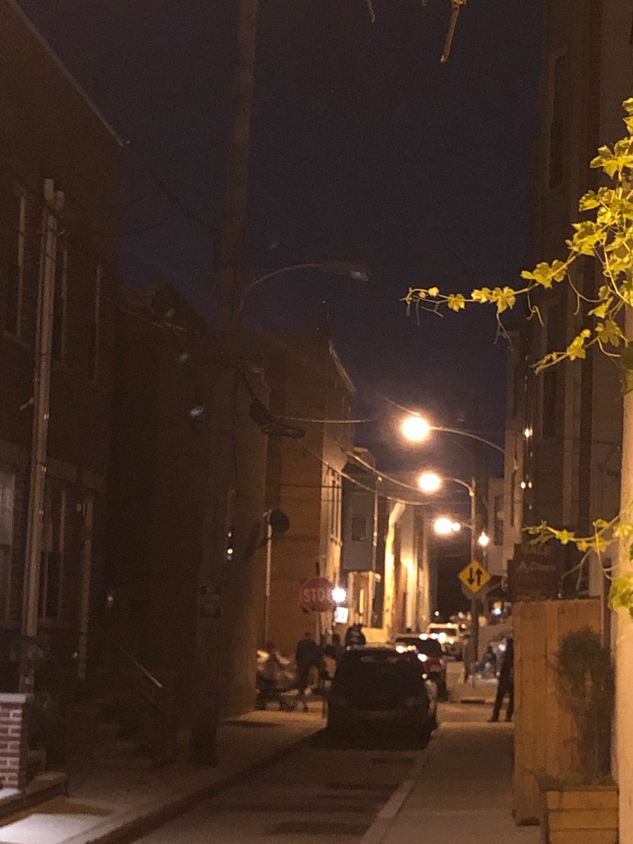 Photographic documentation of the work as submitted to the city's 311 record.