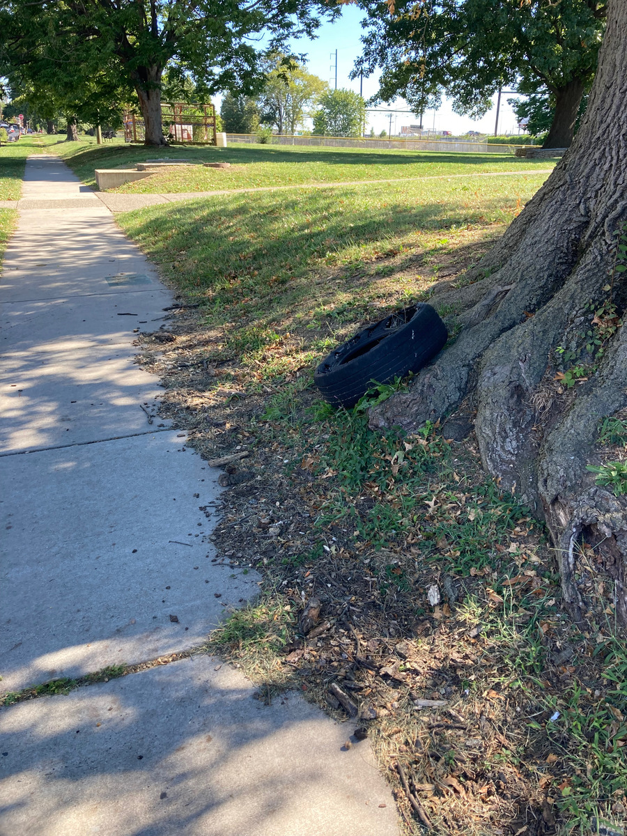Photographic documentation of the work as submitted to the city's 311 record.