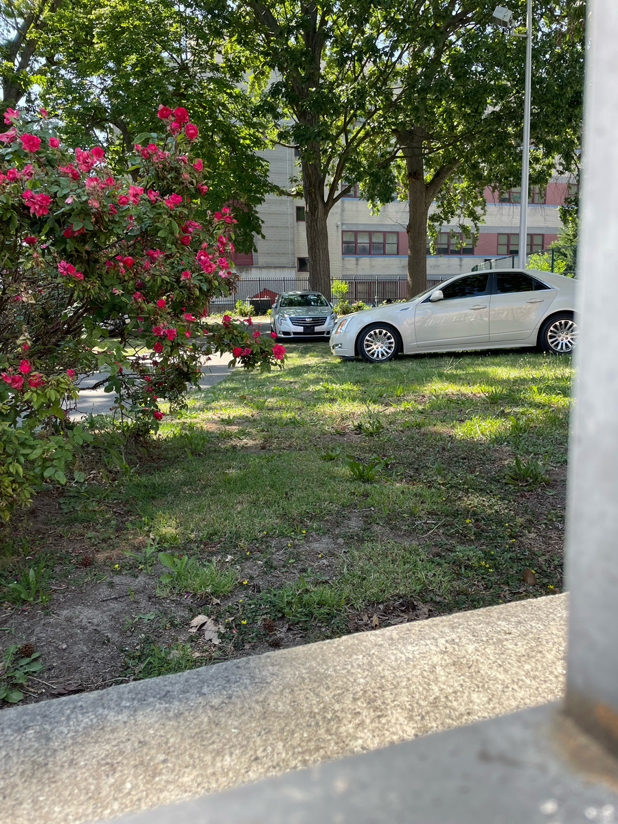 Photographic documentation of the work as submitted to the city's 311 record.