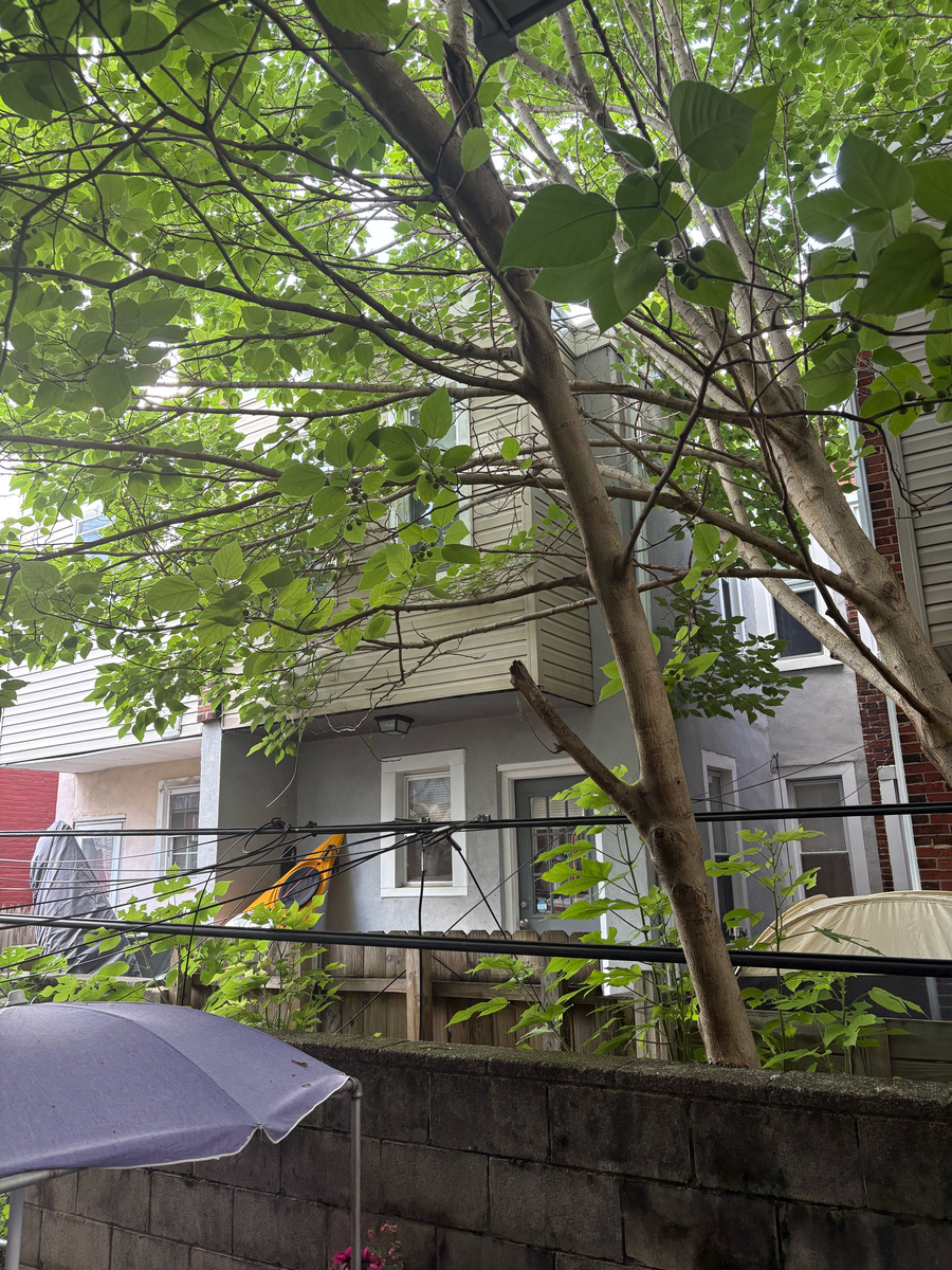 Photographic documentation of the work as submitted to the city's 311 record.