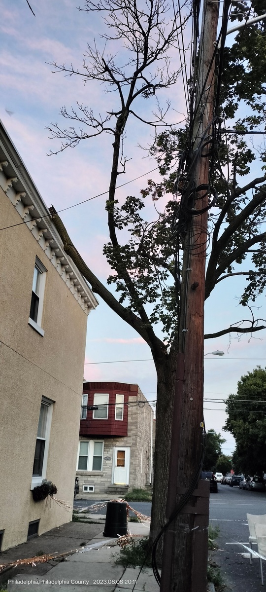 Photographic documentation of the work as submitted to the city's 311 record.