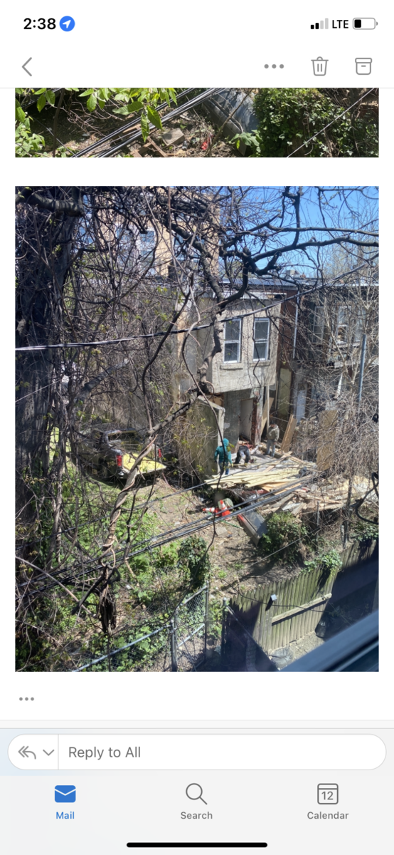 Photographic documentation of the work as submitted to the city's 311 record.