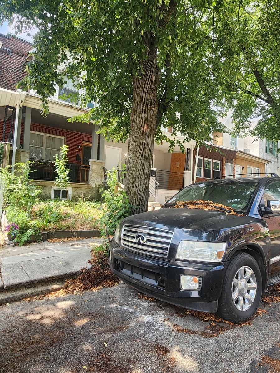Photographic documentation of the work as submitted to the city's 311 record.