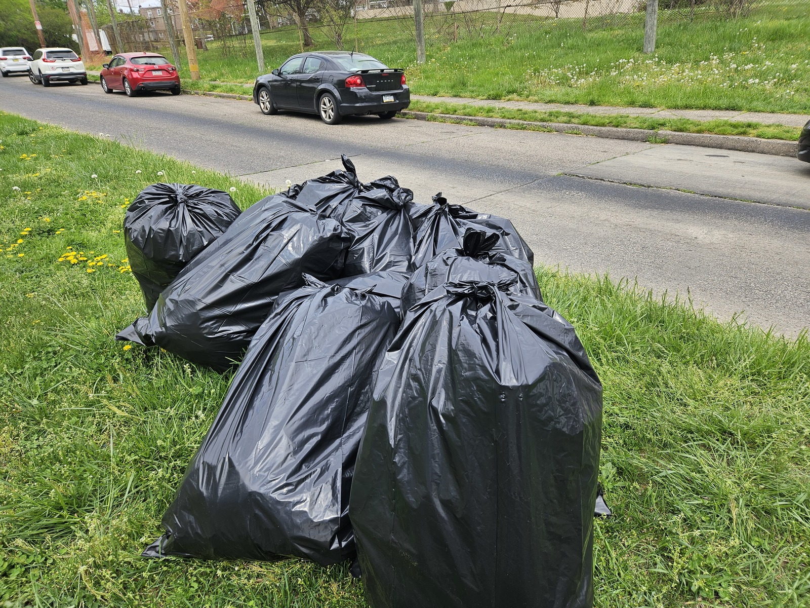 Photographic documentation of the work as submitted to the city's 311 record.