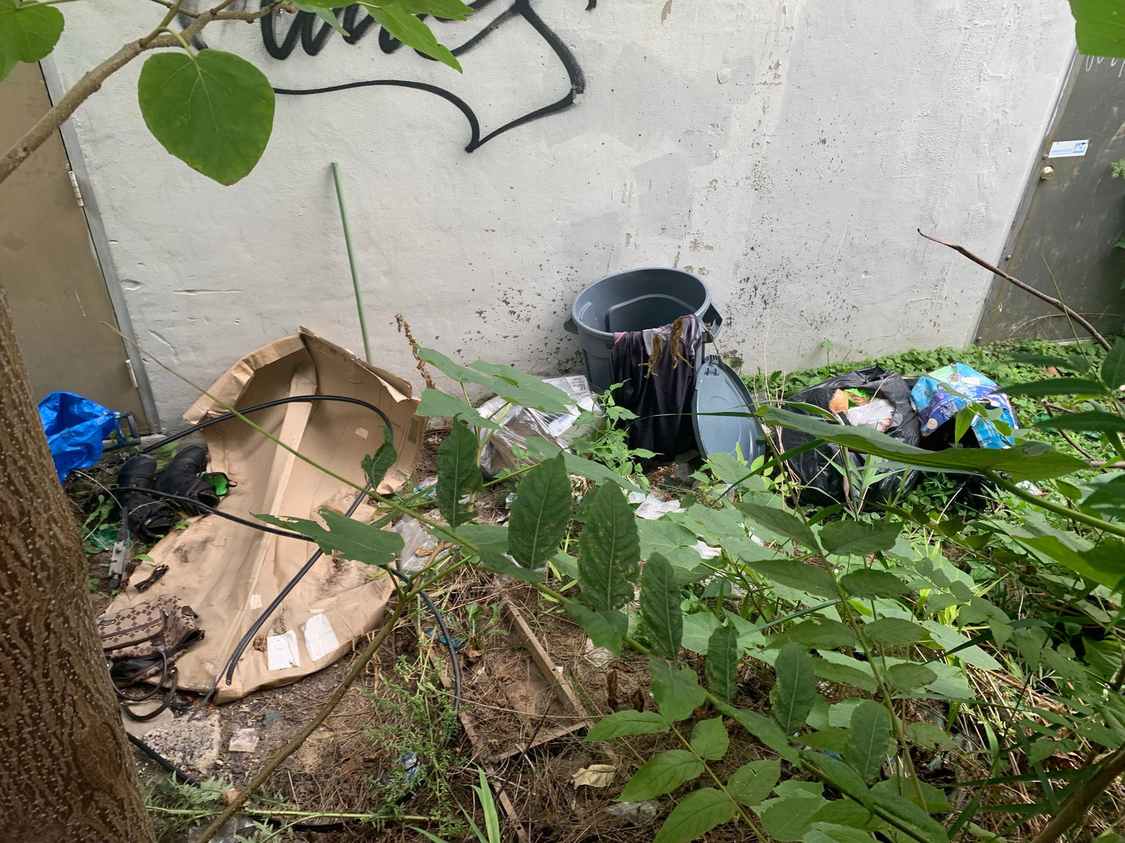 Photographic documentation of the work as submitted to the city's 311 record.