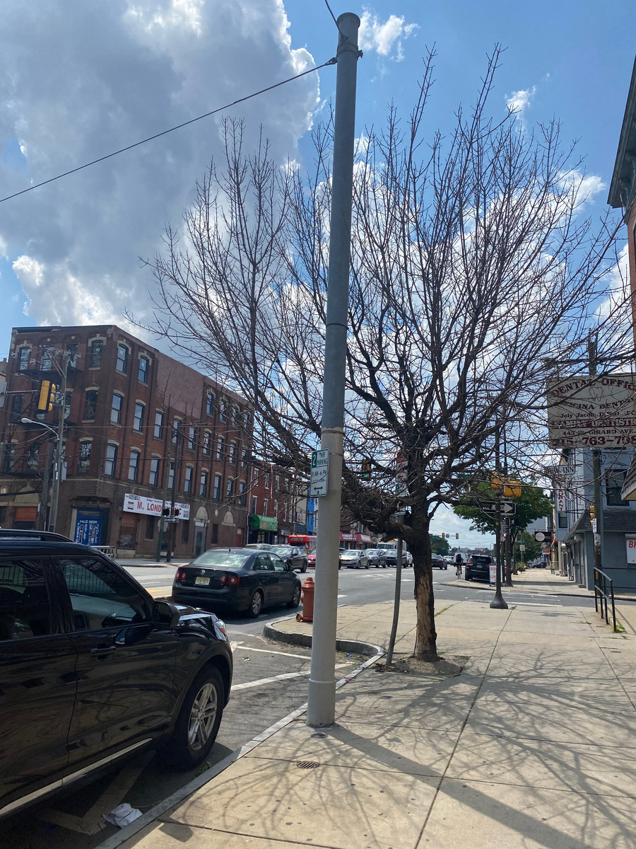Photographic documentation of the work as submitted to the city's 311 record.