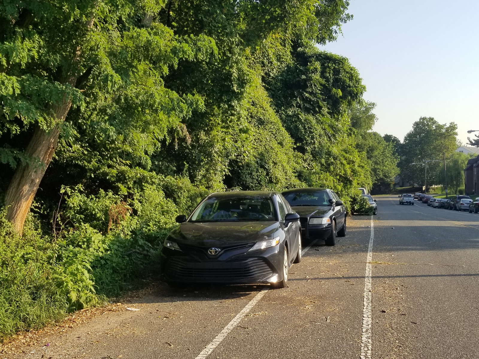 Photographic documentation of the work as submitted to the city's 311 record.