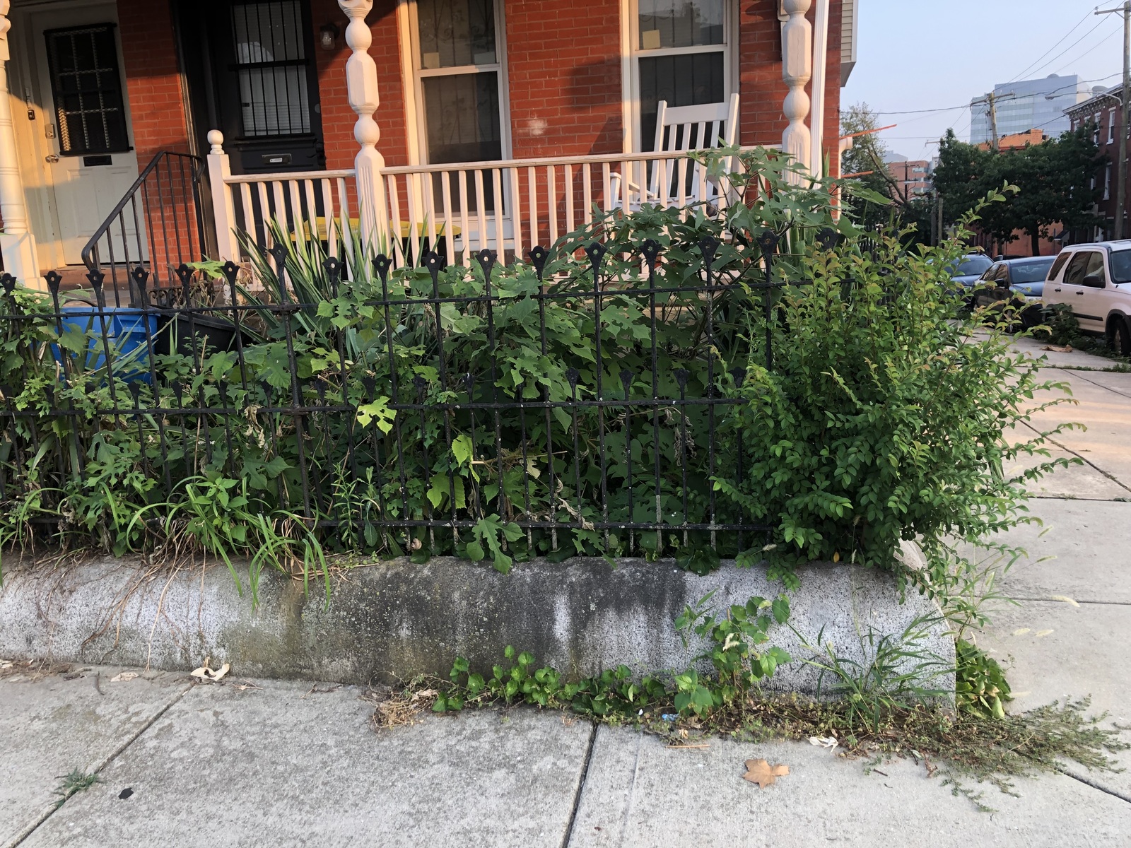 Photographic documentation of the work as submitted to the city's 311 record.