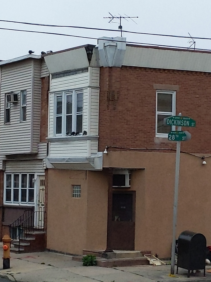 Photographic documentation of the work as submitted to the city's 311 record.
