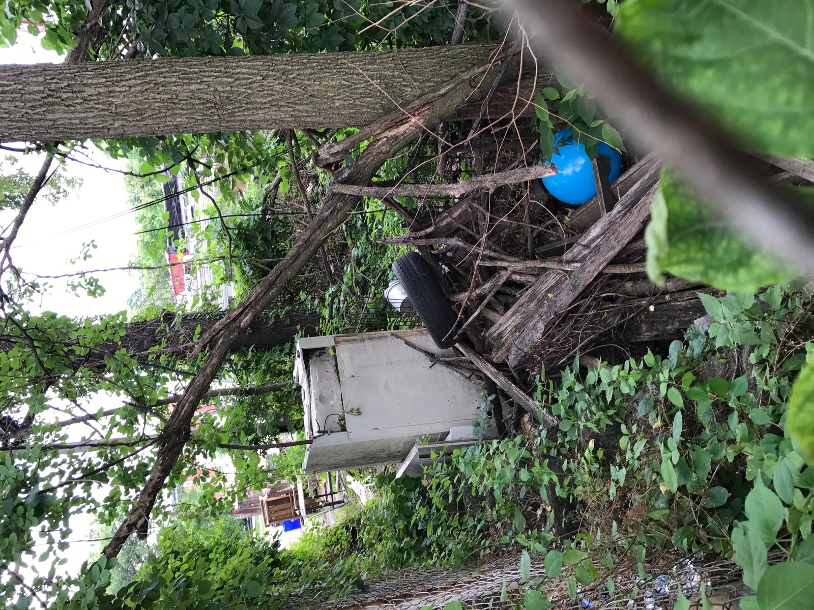 Photographic documentation of the work as submitted to the city's 311 record.