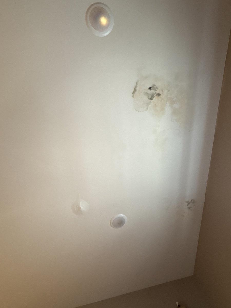 Photographic documentation of the work as submitted to the city's 311 record.