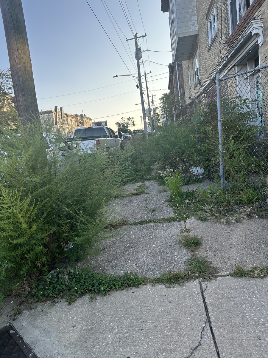 Photographic documentation of the work as submitted to the city's 311 record.
