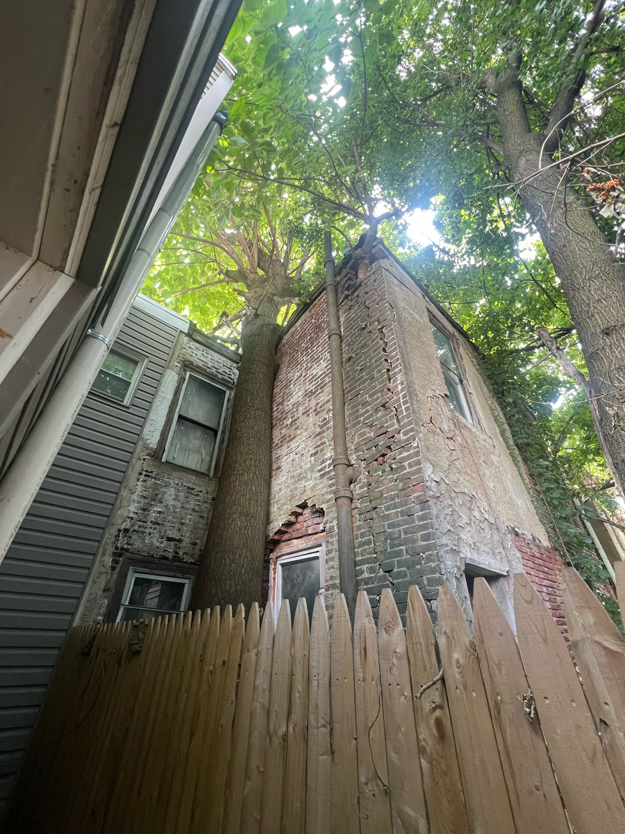 Photographic documentation of the work as submitted to the city's 311 record.