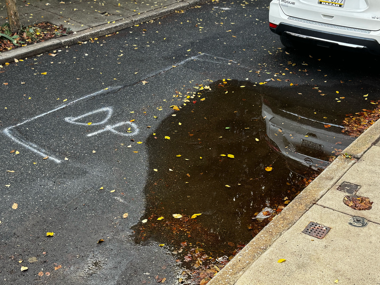 Photographic documentation of the work as submitted to the city's 311 record.